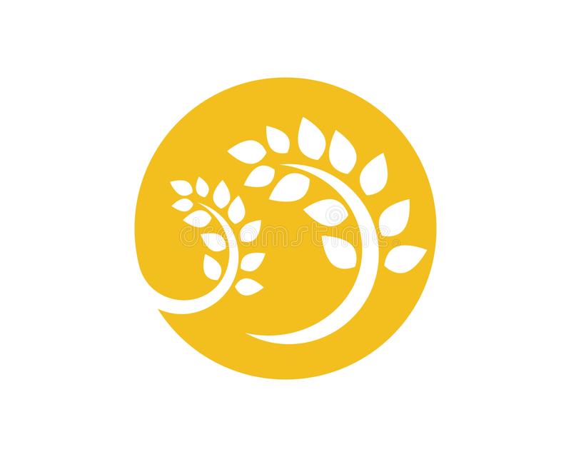 星空·综合体育