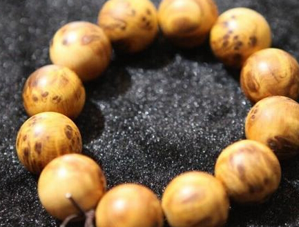 【星空综合】2016成都锦西中学艺体生招生简章-成都小升初(图4) 星空·综合体育