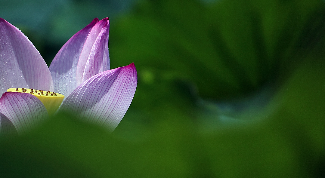 漯河市郾城区龙城镇栗庄小学:安全教育、快乐假期|星空综合(图1) 星空·综合体育