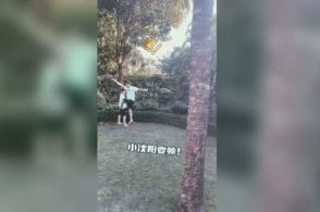 星空·综合体育