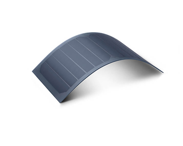 《史前一万年》北美上映 单日收成近亿港元‘星空·综合体育’(图1) 星空·综合体育