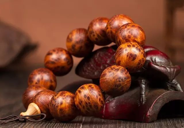 星空·综合体育:2013杭州绿城育华学校特长生招生攻略(图4) 星空·综合体育